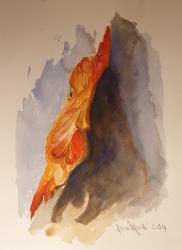Ada - acquerello - cm. 25x35 h.