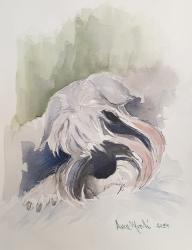 Anouk - acquerello - cm. 25x35 h.