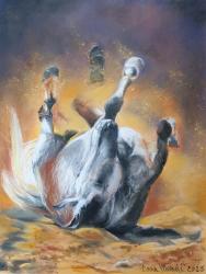 Cavallo Egiziano - pastello morbido - cm. 24x32