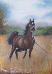 Esstuska - Pastello morbido - cm. 39x55 h.