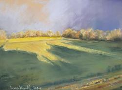 IIl-campo - pastello morbido - cm. 21 h.x30 