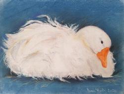 Oca di Sebastopoli - Pastello morbido - cm. 30x23 h.