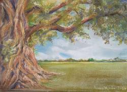 Vecchia-quercia - pastello morbido - cm. 21 h. x 30