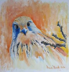 Rapace - olio su tavola - cm. 30x30