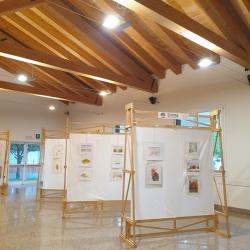 Collettiva UniTre Arte – Centro Pastorale – Mogliano - Anno 2023